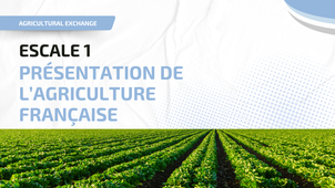 chapitre 1 - Présentation de l agriculture française.mp4