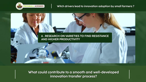 PROSMALL AGRIMED  - FINAL HD1080.mp4